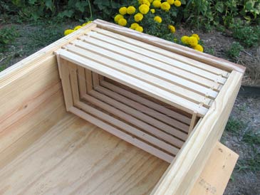Long Langstroth Hive - Free Plans
