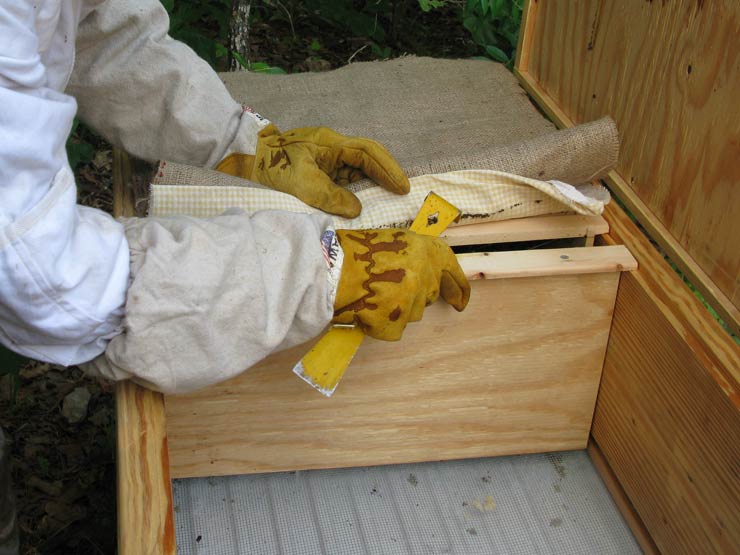 Natural Beekeeping | Free Plans | Long Langstroth Hive