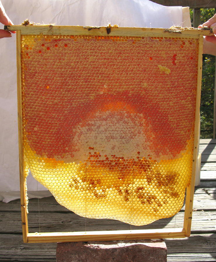 Layens Frame Plans Horizontal Hives Natural Beekeeping