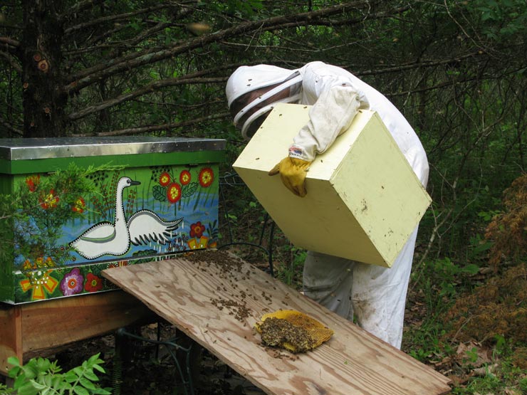 How to Set Up A Swarm Trap - Carolina Honeybees