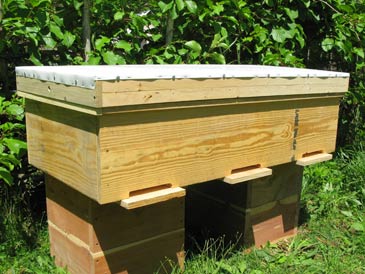 Ventilated Top Long Langstroth Hive Free Plans