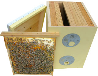 Swarm Traps and Bait Hives Natural Beekeeping